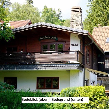 Ferienwohnungen Forellengrund Schierke Luaran gambar